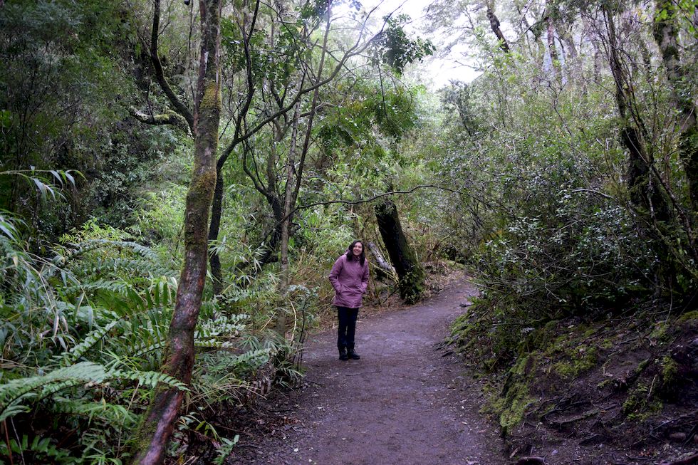 F089ap-967-1-Saltos del Petrohue-Rio-Petrohue-17-8-m.jpg